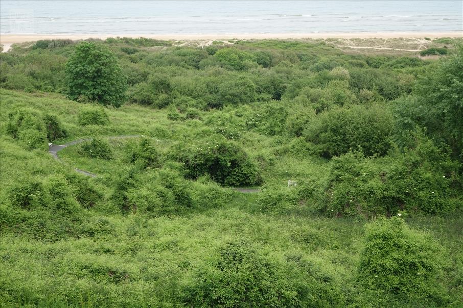 Omaha Beach